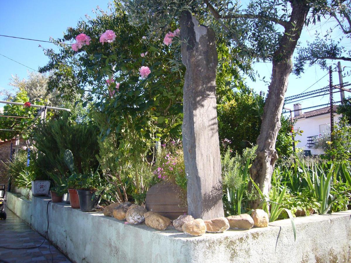 Casinha Da Aldeia Villa Castelo Branco  Luaran gambar