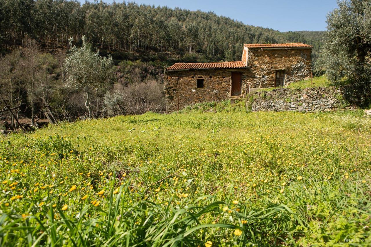 Casinha Da Aldeia Villa Castelo Branco  Luaran gambar