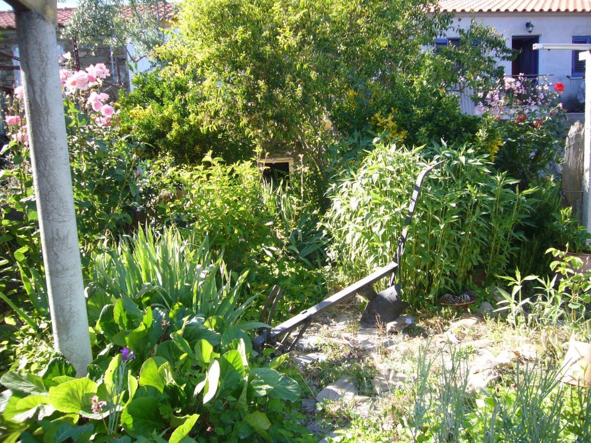 Casinha Da Aldeia Villa Castelo Branco  Luaran gambar