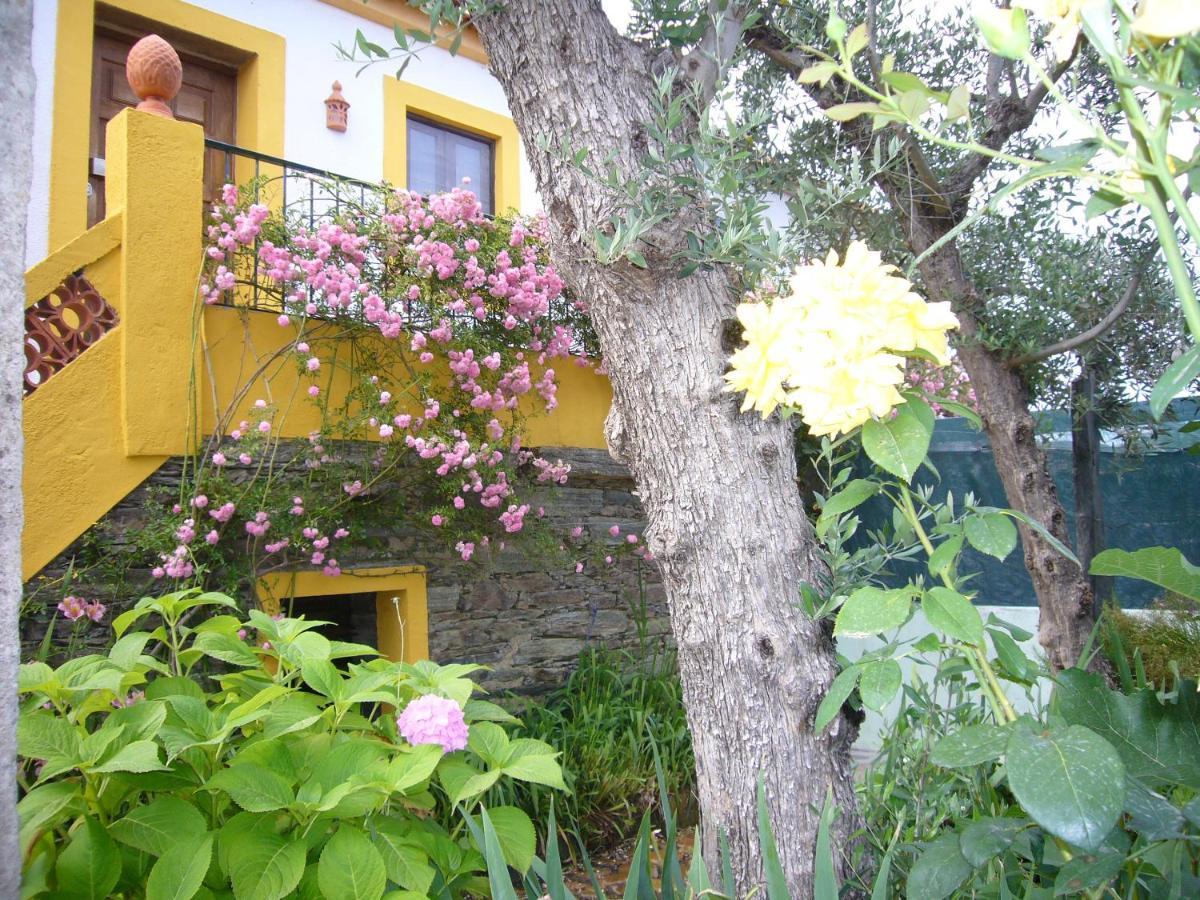 Casinha Da Aldeia Villa Castelo Branco  Luaran gambar