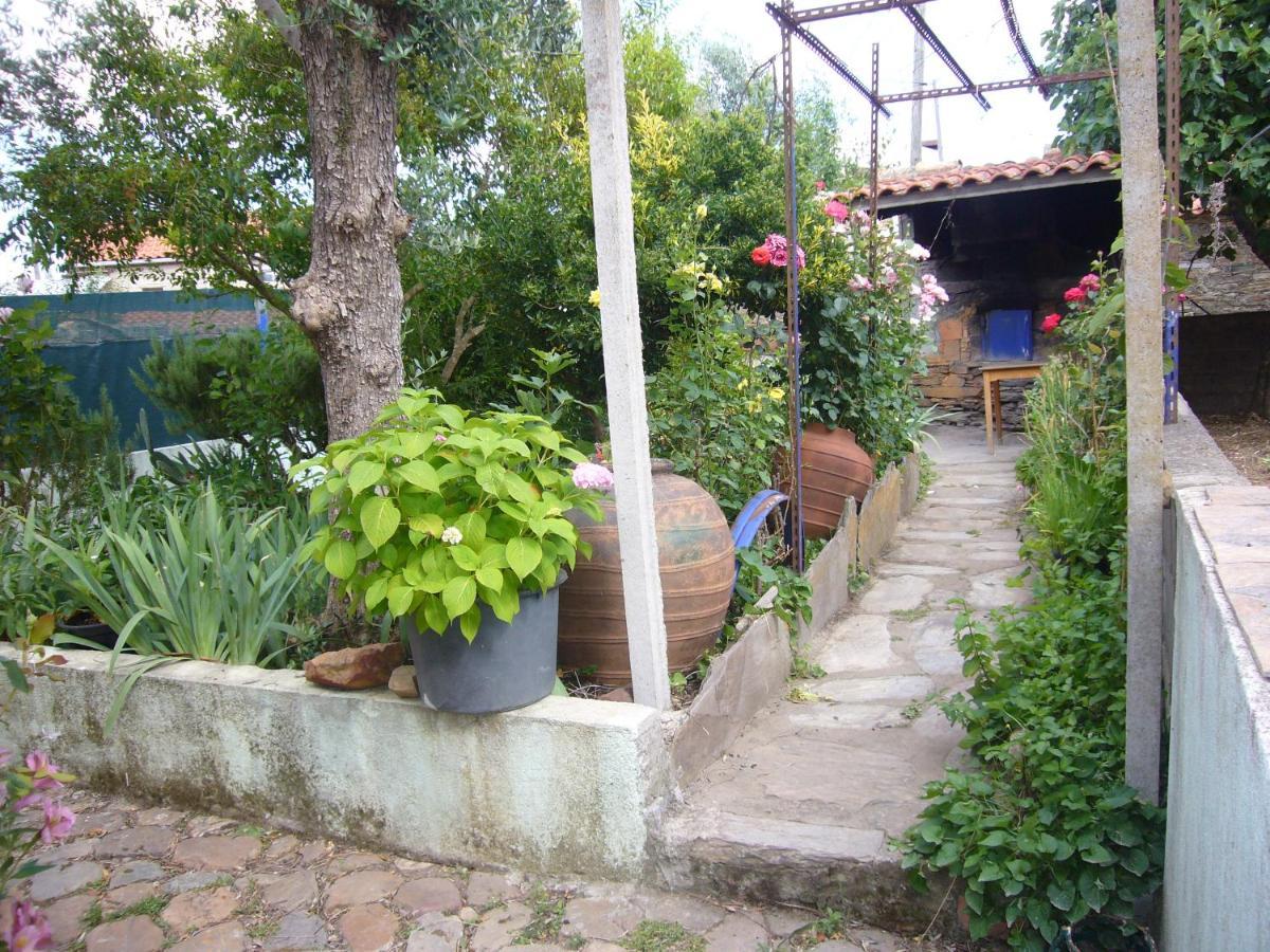 Casinha Da Aldeia Villa Castelo Branco  Luaran gambar