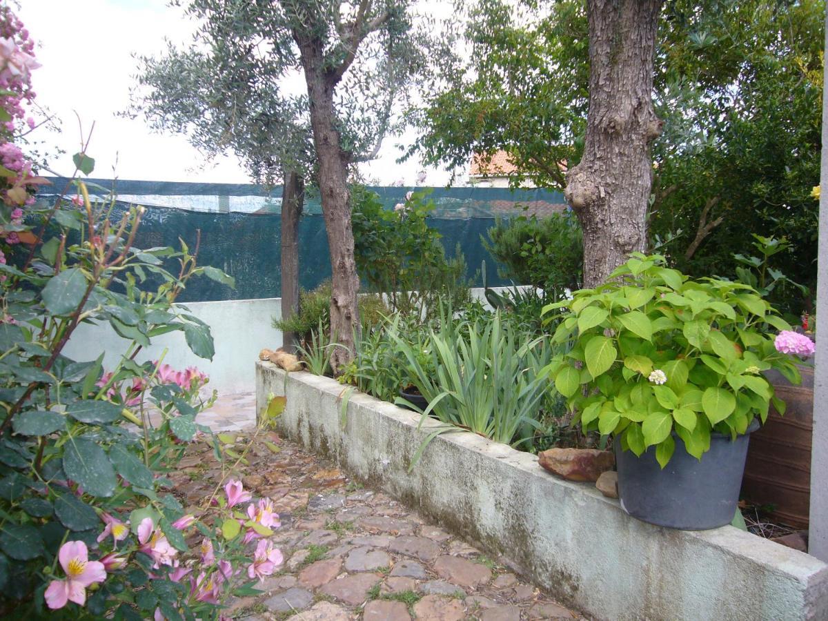 Casinha Da Aldeia Villa Castelo Branco  Luaran gambar